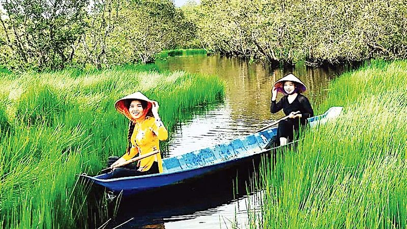 Trải nghiệm bơi xuồng ba lá len lỏi dưới tán rừng tràm U Minh Hạ (Cà Mau).