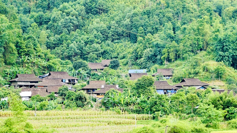 Những ngôi nhà sàn cổ của người Tày ở Bản Vèn, xã Kim Hỷ, huyện Na Rì, tỉnh Bắc Kạn.