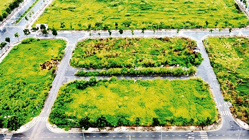 Khu đất chuẩn bị đưa ra đấu giá tại quận Long Biên.