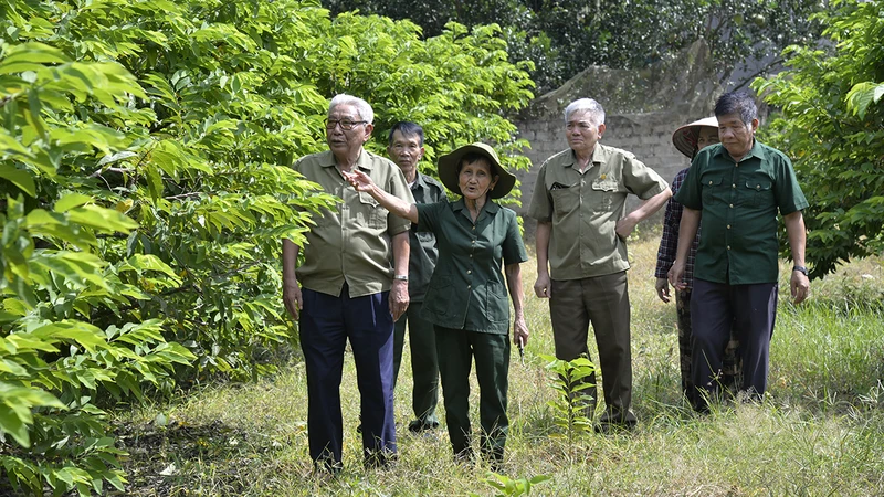 Cựu thanh niên xung phong Nguyễn Thị Lý hướng dẫn các cựu thanh niên xung phong thăm vườn na của gia đình cho thu nhập hằng năm hơn 300 triệu đồng.
