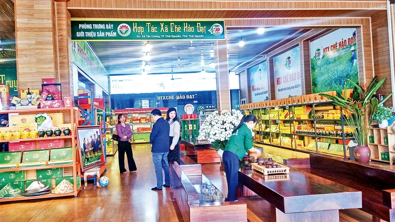 Hợp tác xã Chè Hảo Ðạt có không gian giới thiệu sản phẩm và phục vụ khách thưởng trà. 