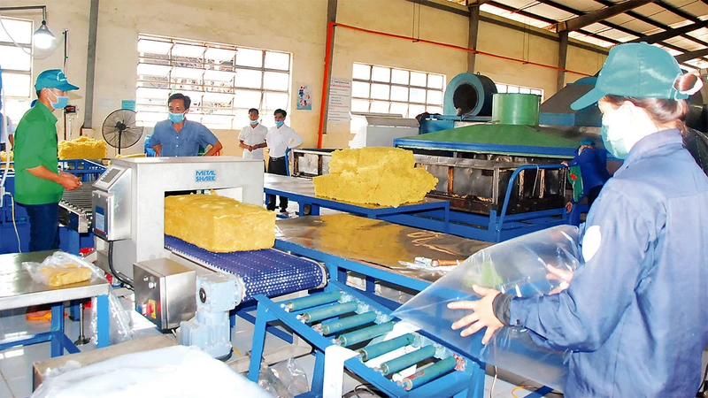 Chế biến mủ cao su tại Công ty Cao su Mang Yang (Gia Lai).