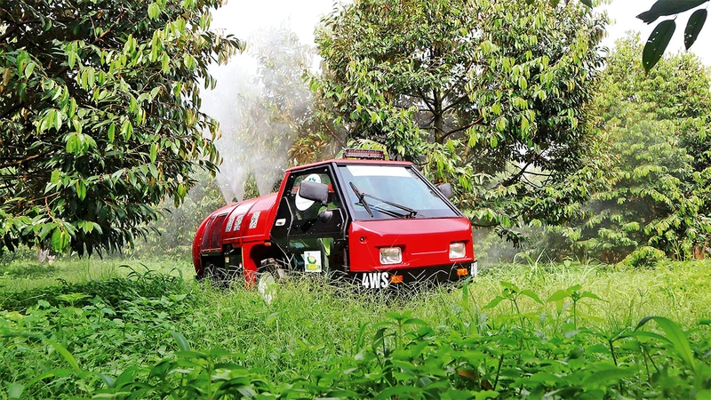 Nông dân Bình Phước trồng sầu riêng theo hướng hữu cơ, một giải pháp phát triển bền vững cho ngành nông nghiệp.