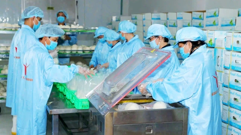 Ðóng gói dừa tươi xuất khẩu tại Công ty Vina T&T Group. (Ảnh MINH HÀ)