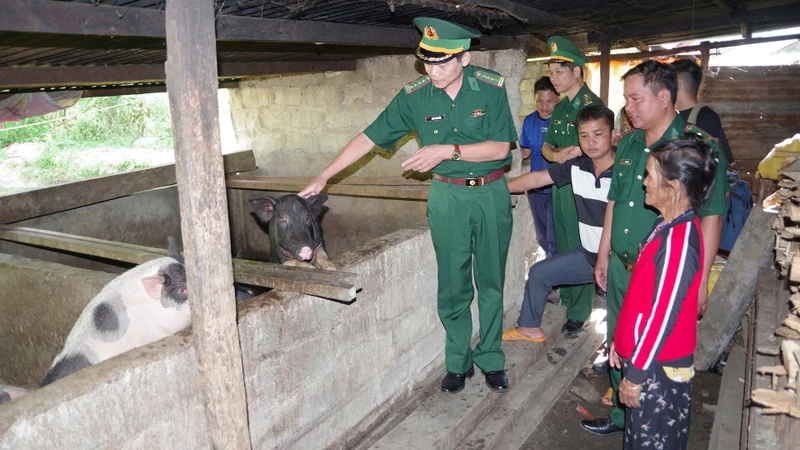 Đại tá Hoàng Văn Mẫn, Chính ủy Bộ Chỉ huy Bộ đội Biên phòng tỉnh Quảng Nam hướng dẫn hội viên phụ nữ vùng biên cách chăn nuôi lợn hiệu quả.