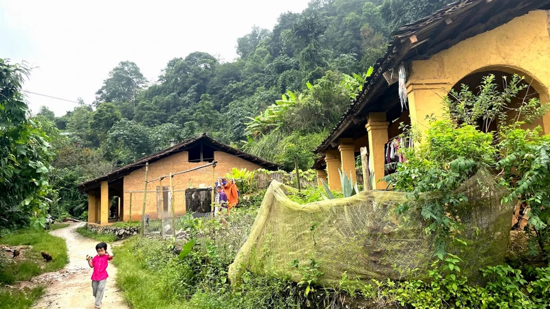 Những ngôi nhà trình tường hơn 60 năm tuổi.
