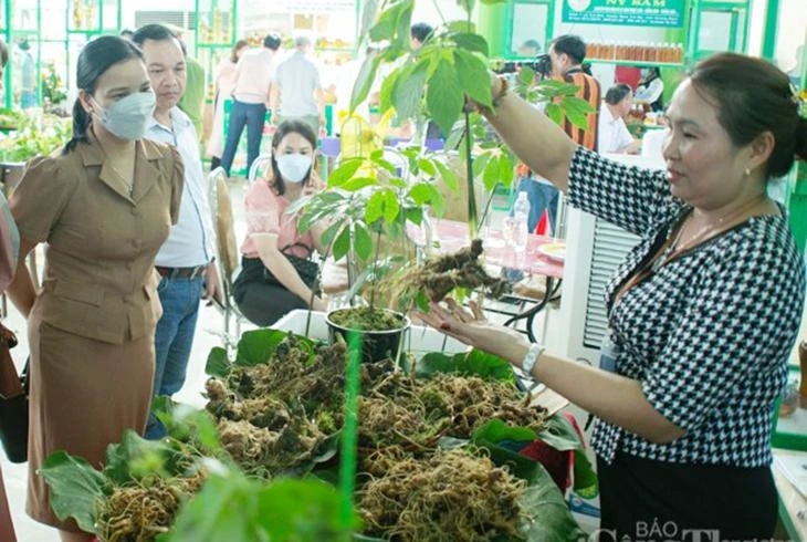 Phiên chợ sâm Ngọc Linh thu hút đông đảo người dân địa phương và du khách