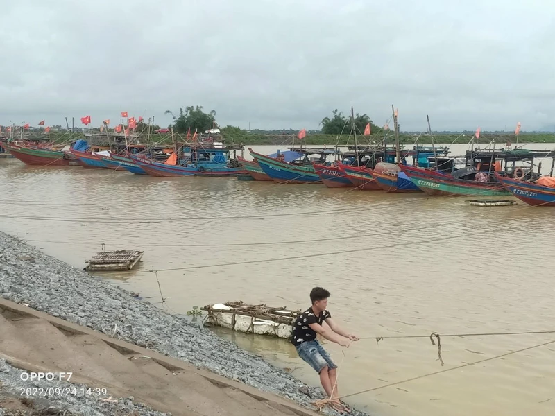 Các chủ tàu, thuyền đã chủ động cập bến, tìm nơi neo đậu an toàn để ứng phó với bão Noru.