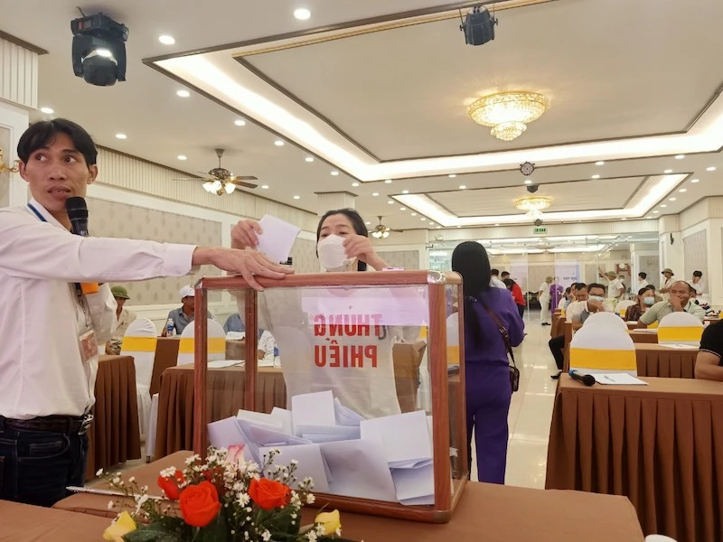 Lãnh đạo Công ty đấu giá Toàn Cầu trong phiên đấu giá hai gói tài sản rừng của UBND huyện Phong Điền, Thừa Thiên Huế.