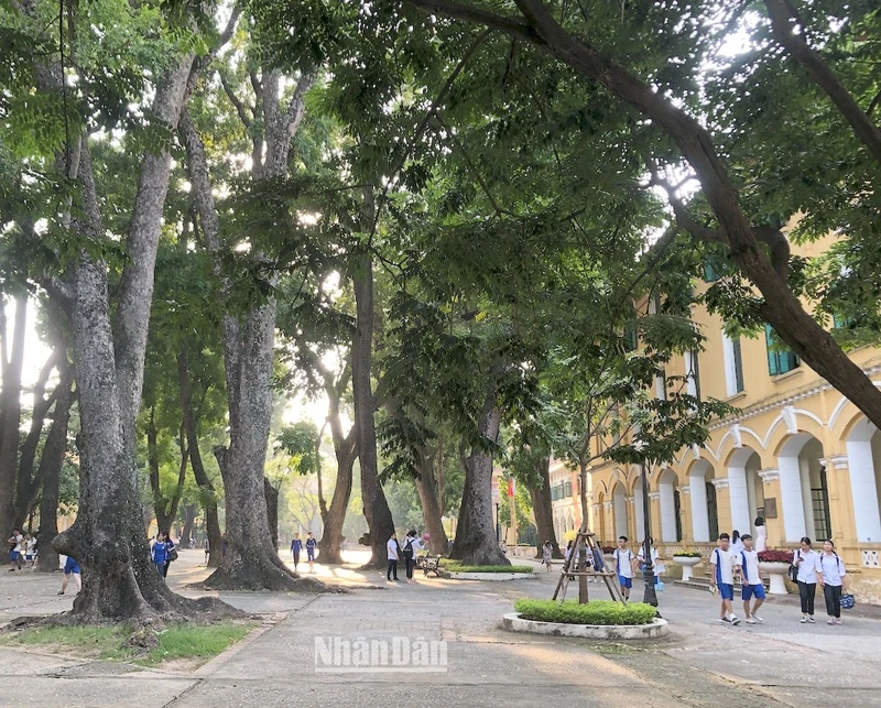 Sân trường. (Ảnh minh họa: VIỆT DŨNG)
