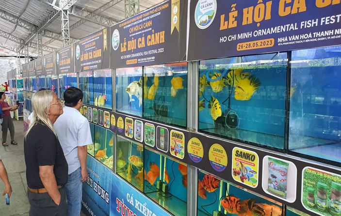 Người dân tham quan các loại cá cảnh đẹp mắt tại Lễ hội