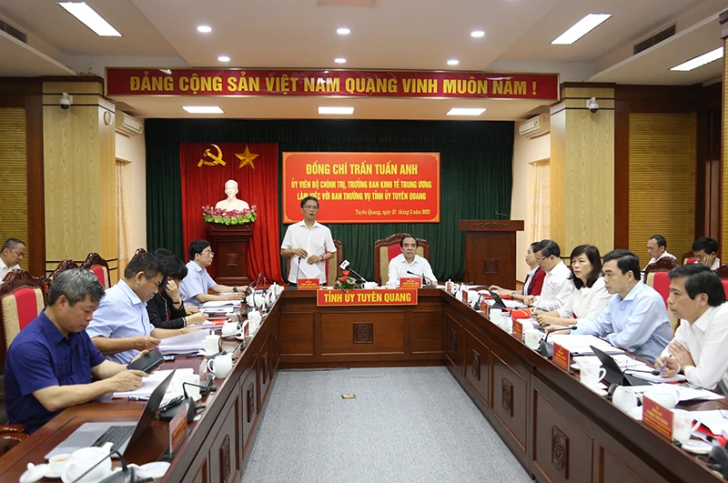 Đồng chí Trần Tuấn Anh, Ủy viên Bộ Chính trị, Trưởng Ban Kinh tế Trung ương, Trưởng Ban chỉ đạo thực hiện Chỉ thị số 13 phát biểu tại buổi làm việc.