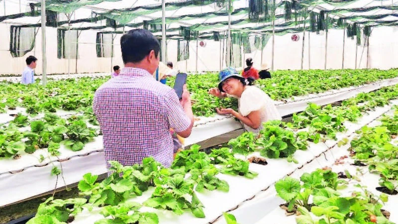 Khoa học và công nghệ đã giúp sản phẩm nông nghiệp Đắk Nông nâng tầm trên thị trường trong nước và quốc tế.