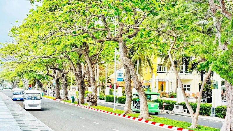 Côn Đảo hôm nay trở thành điểm đến du lịch hấp dẫn.