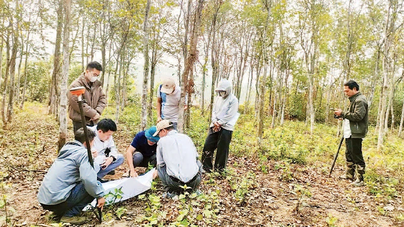 Đo đạc, kiểm đếm để bồi thường cho người dân tại xã Trung Mỹ, huyện Bình Xuyên.