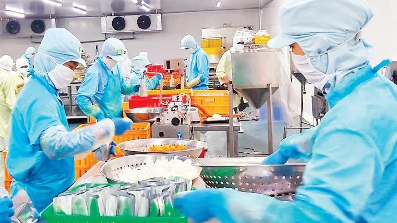 Chế biến hàng xuất khẩu tại Công ty cổ phần Saigon Food (Ảnh: nhandan.vn).