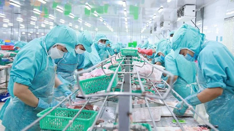 Lao động tại Công ty Sao Mai (Ảnh minh họa: nhandan.vn).