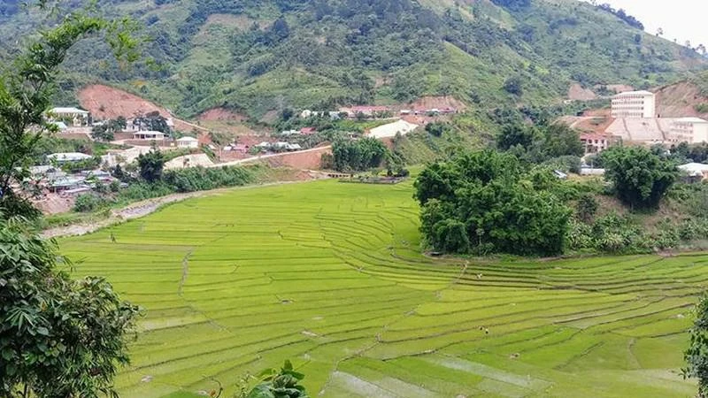 Cánh đồng lúa nước của đồng bào Cơ Tu ở xã A Xan, huyện miền núi Tây Giang, Quảng Nam. (Ảnh: Quốc Việt)