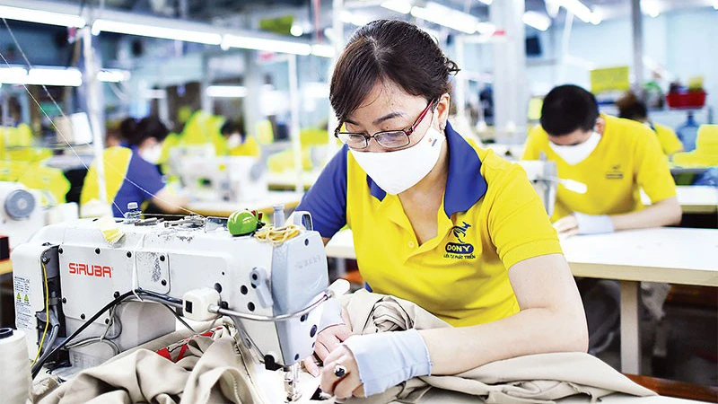 Lao động may quần áo xuất khẩu tại một doanh nghiệp ở Thành phố Hồ Chí Minh. (Ảnh: nhandan.vn)