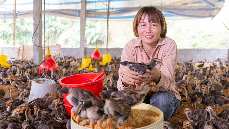 Phụ nữ tham gia Mô hình tiết kiệm tín dụng thôn bản tự quản (VSLA) tại Yên Bái giúp giảm nghèo. (Ảnh: CARE quốc tế tại Việt Nam)