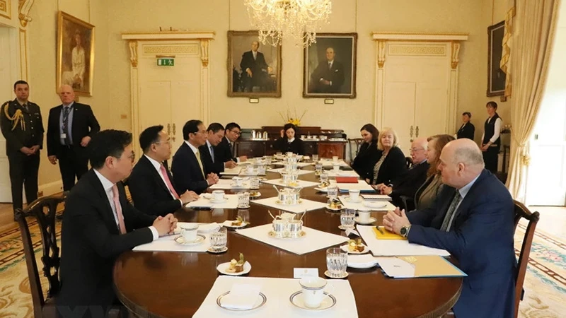 Bộ trưởng Ngoại giao Bùi Thanh Sơn hội kiến Tổng thống Ireland Michael D. Higgins. Ảnh: TTXVN