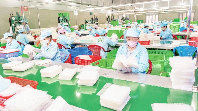 Lao động tại Công ty TNHH Tân Nhiên, Tây Ninh. (Ảnh: MINH ANH)