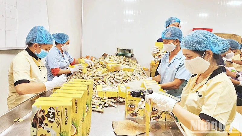 Lao động tại Công ty Cà-phê nông sản Meet More. (Ảnh: PHƯƠNG VY)