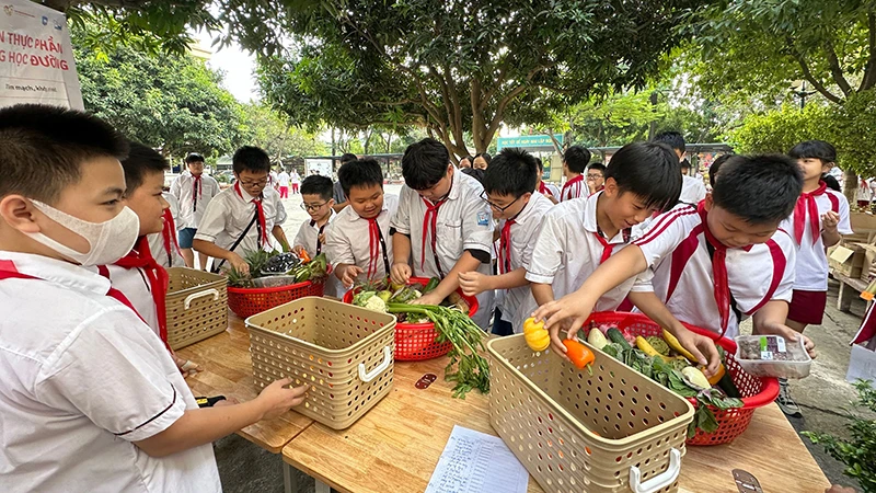 Học sinh Trường trung học cơ sở Nam Trung Yên, quận Cầu Giấy, tham gia trò chơi dinh dưỡng cầu vồng, tháng 12/2023. Các loại rau, củ, quả có màu sắc tương ứng màu sắc của cầu vồng, mỗi màu sắc có một giá trị dinh dưỡng và tác dụng khác nhau với sức khỏe. (Ảnh: Dự án cung cấp)