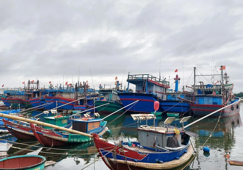 Tàu thuyền được ngư dân Quảng Trị đưa lên bờ neo đậu phòng chống bão Noru.