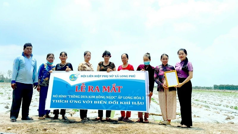 Lễ ra mắt mô hình trồng dưa Kim Hồng Ngọc của bà Trần Thị Liễu. 