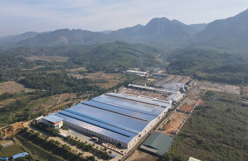 Các nhà máy chế biến gỗ trong Khu công nghiệp Thanh Bình, huyện Chợ Mới.
