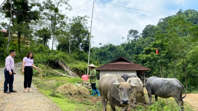 Cán bộ Phòng Giao dịch Ngân hàng Chính sách xã hội huyện Chợ Đồn, tỉnh Bắc Kạn kiểm tra việc sử dụng vốn vay của hộ nghèo. (Ảnh THU TRANG)