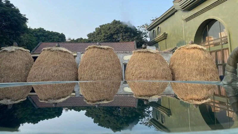 Một góc không gian mộc mạc, bình yên của Hợp tác xã Sinh Dược.