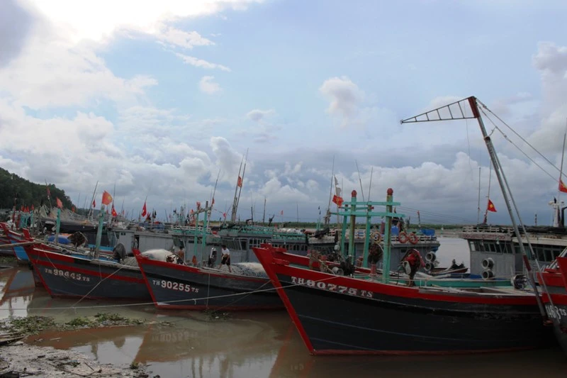 Tàu cá cập bến Hoằng Trường sau chuyến vươn khơi, bám biển.