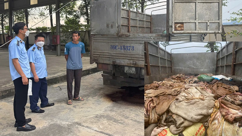 Da trâu, bò không rõ nguồn gốc, xuất xứ chở trên phương tiện bị cơ quan chức năng phát hiện, xử lý.