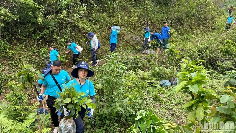 “Rừng xanh lên” là một hành trình gìn giữ thiên nhiên, vun đắp tương lai.