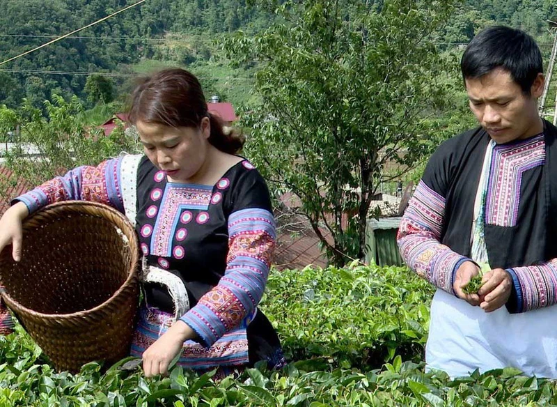 Trang phục của đồng bào H'Mông, xã Pà Cò, huyện Mai Châu, tỉnh Hòa Bình.