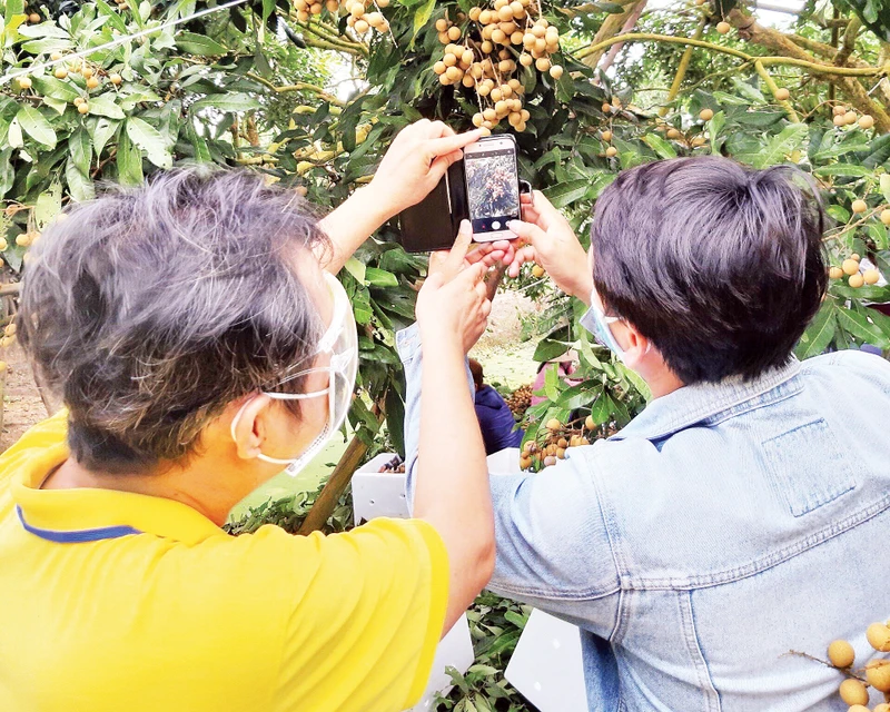 Nhân viên VNPost hướng dẫn người nông dân đưa các mặt hàng nông sản lên sàn thương mại điện tử.