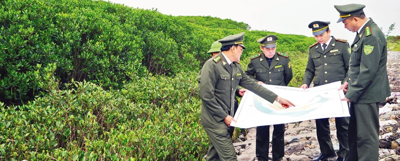 Những cánh rừng ngập mặn vùng ven biển Kim Sơn có thể khai thác phát triển du lịch gắn với bảo tồn thiên nhiên.