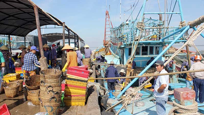 Tỉnh Bến Tre tập trung quản lý chặt chẽ tàu cá hoạt động khai thác hải sản trên biển.