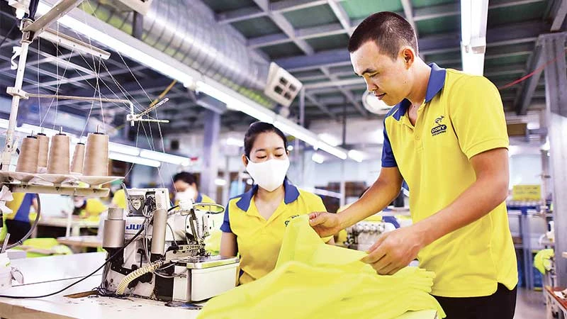 Công ty Dony tăng ca đến hết năm vì có thêm đơn hàng từ những thị trường mới.