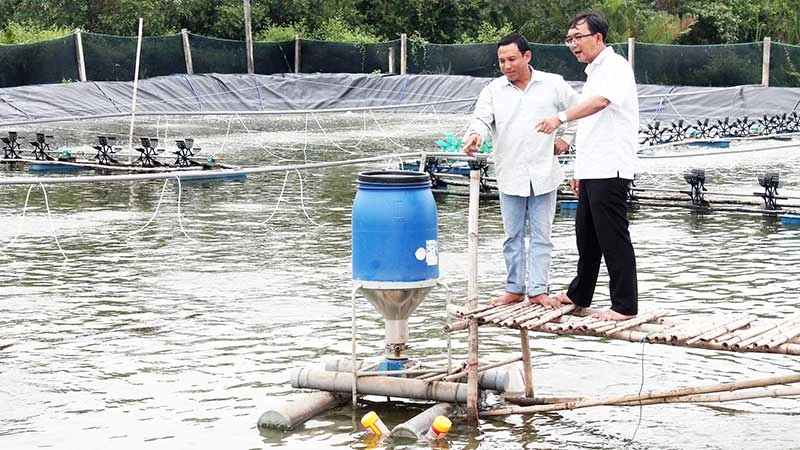 Mô hình nuôi tôm công nghệ cao của đồng bào Khmer ở thị xã Vĩnh Châu, tỉnh Sóc Trăng. (Ảnh NGUYỄN PHONG)