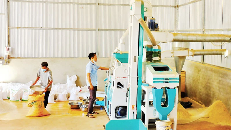 Đóng gói gạo Sóc Nê, một trong những sản phẩm OCOP tiêu biểu của huyện Bù Đốp, tỉnh Bình Phước.