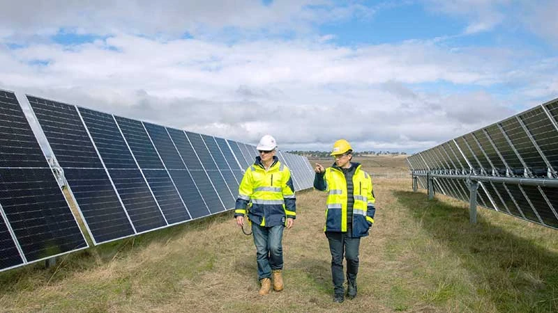 Một góc trang trại điện mặt trời tại bang New South Wales. (Ảnh ACEN RENEWABLES)