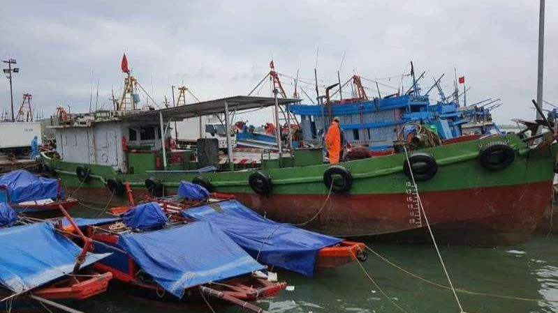 Ảnh minh họa: Đưa các tàu thuyền cùng ngư dân vào bờ tránh trú bão an toàn. (Nguồn: VGP)