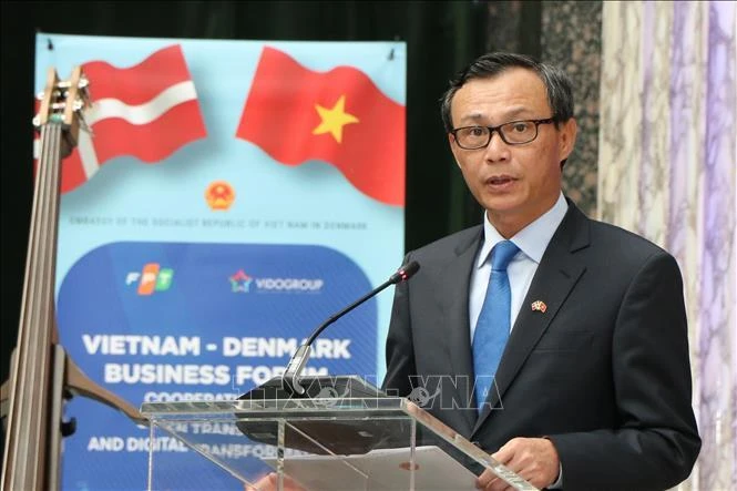 Ảnh minh họa: Đại sứ Lương Thanh Nghị phát biểu tại Diễn đàn Doanh nghiệp Việt Nam-Đan Mạch, sáng 5/9/2022. (Ảnh: TTXVN)