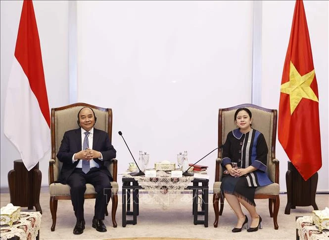 Ảnh minh họa: Chủ tịch nước Nguyễn Xuân Phúc hội kiến Chủ tịch Hội đồng Đại biểu nhân dân Indonesia, bà Puan Maharani. (Ảnh: TTXVN)