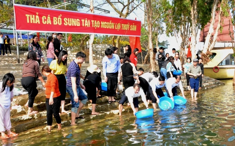 Thả cá bổ sung nguồn lợi thủy sản hồ Thác Bà. (Ảnh: Báo điện tử Đảng Cộng sản)