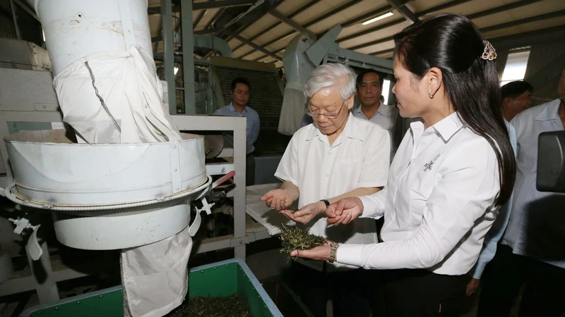 Tổng Bí thư Nguyễn Phú Trọng thăm Nhà máy chè Sen Cha, Công ty cổ phần đầu tư phát triển chè Tam Đường ở xã Bản Bo, huyện Tam Đường, tỉnh Lai Châu. (Ảnh: TTXVN)