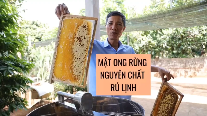 [Video] Mật ong Rú Lịnh: Nuôi ong lấy mật cũng lắm công phu